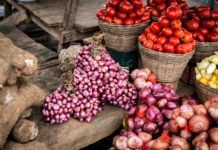 Senegal government Restricts Vegetable Imports as Domestic Supply Grows Senegal government Restricts Vegetable Imports as Domestic Supply Grows