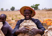 Nigeria Non-Oil Exports Surge to Historic $6.1 Billion in 2025 — A Milestone for Economic Diversification 🇳🇬 Nigeria Non-Oil Exports Surge to Historic $6.1 Billion in 2025 — A Milestone for Economic Diversification