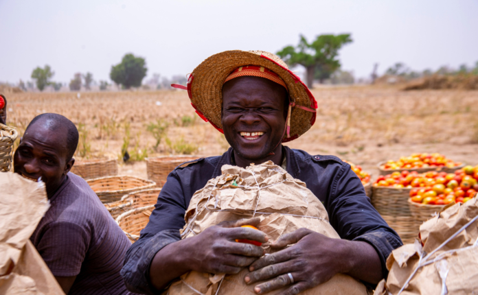 🇳🇬 Nigeria Non-Oil Exports Surge to Historic $6.1 Billion in 2025 — A Milestone for Economic Diversification 🇳🇬 Nigeria Non-Oil Exports Surge to Historic $6.1 Billion in 2025 — A Milestone for Economic Diversification